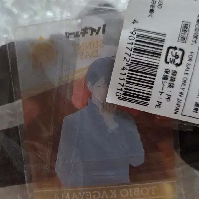 [BUNJANG] Kageyama Otomochi Nui Doll (Sealed) / 카게야마 오테모치 누이 인형 미개봉