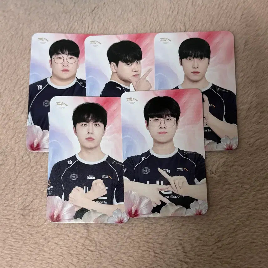 [BUNJANG] HLE Hanwha Life Esports Gwangbokjeol Photocard Set (Gumaayusi, Zeus, Zeka, Kanavi, Delight) / HLE 한화생명 광복절 포토카드 한생 구마유시 제우스 제카 카나비 딜라이트