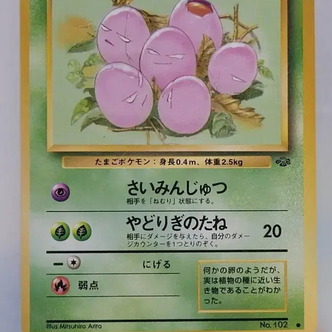 [BUNJANG] Pokemon Card 1st Edition Old Back Araragi / 포켓몬카드 초판 올드백 [아라리]