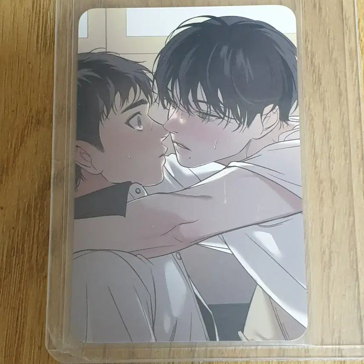 [BUNJANG] LE SSERAFIM Backlight Special Photocard Bundle Set / 백라이트 레봄 특전포카 아밝특전포카