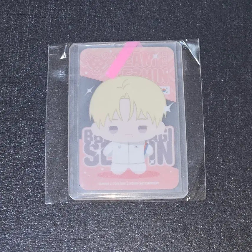 [BUNJANG] Hanseoin Pporaraegi Photocard Team Reshin / 한서인 뽀시래기 포카 팀레진 백라이트