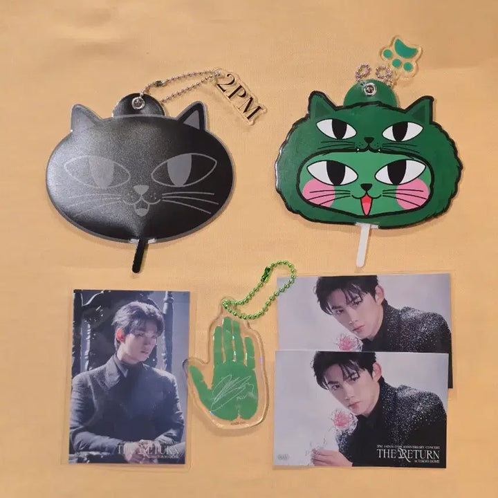 [BUNJANG] Dokodomo The Returns Taecyeon Mini Uchiwa / 도코돔 더리턴 택연 미니우치와 그리고손바닥