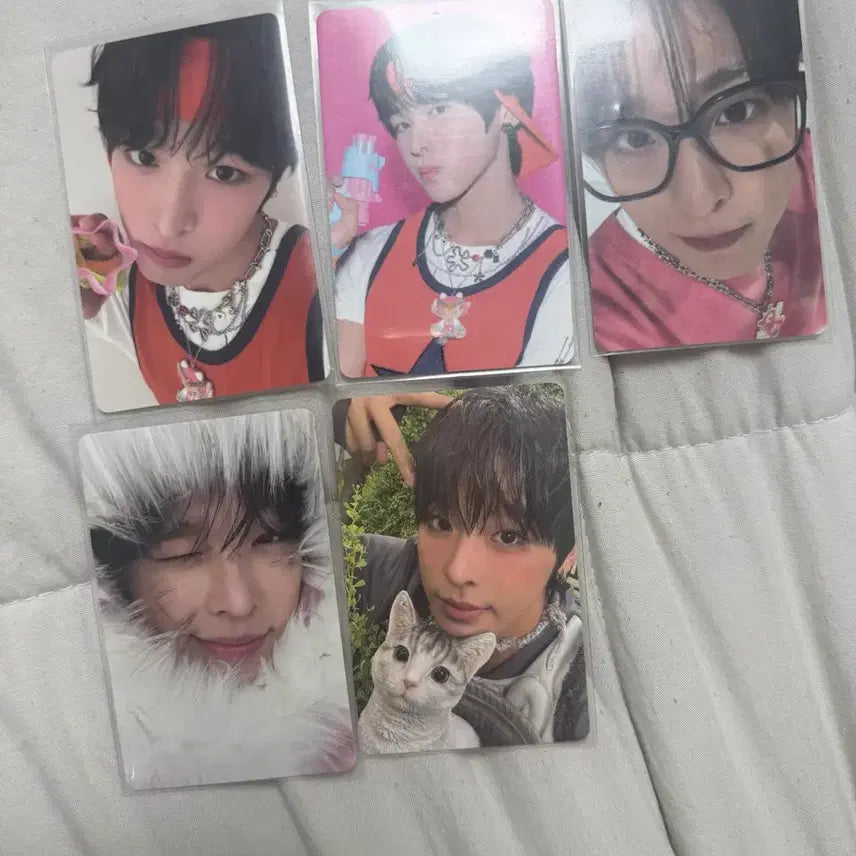 [BUNJANG] NCT WISH Riku Bundle Set Photocard / 엔시티위시 리쿠 포토카드 5장 일괄 판매