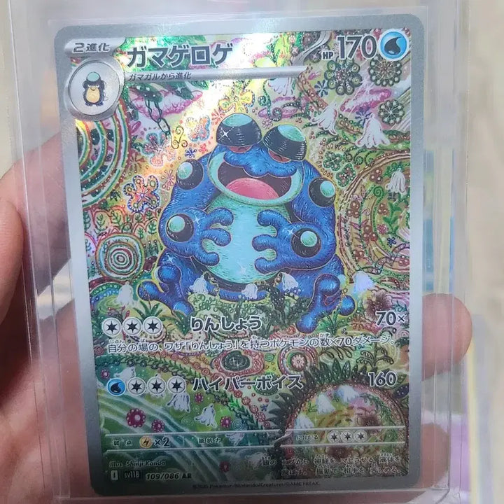 [BUNJANG] Pokemon Card Shiny Groudon Bundle Set / 포켓몬 카드 신지칸다 두빅굴ar(일판)+신지칸다 카드 일괄