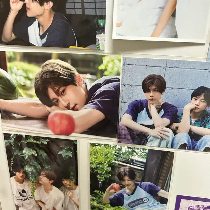 [BUNJANG] SUMMER WISH Exhibition Photobook Zion Ver. / 썸머위시 전시회포토북 시온ver
