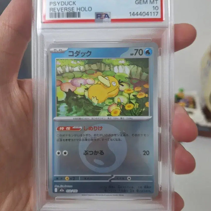 [BUNJANG] Pokemon Card Golduck PSA 10 / 포켓몬카드 고라파덕 psa10