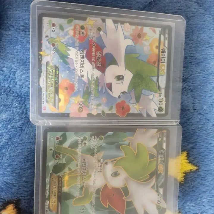[BUNJANG] Pokemon Card Bittob Shakul Shaymin Bundle Set / 포켓몬카드 비떱 샤컬 쉐이미 일괄로 급처합니다