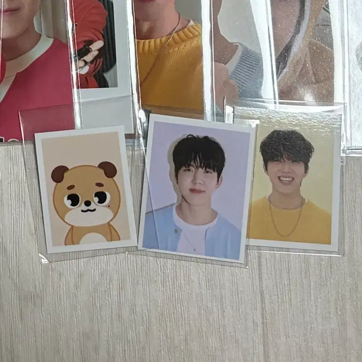 [BUNJANG] DAY6 Dowoon Bundle Set Photocard / 데이식스 DAY6 도운 포카 일괄 판매