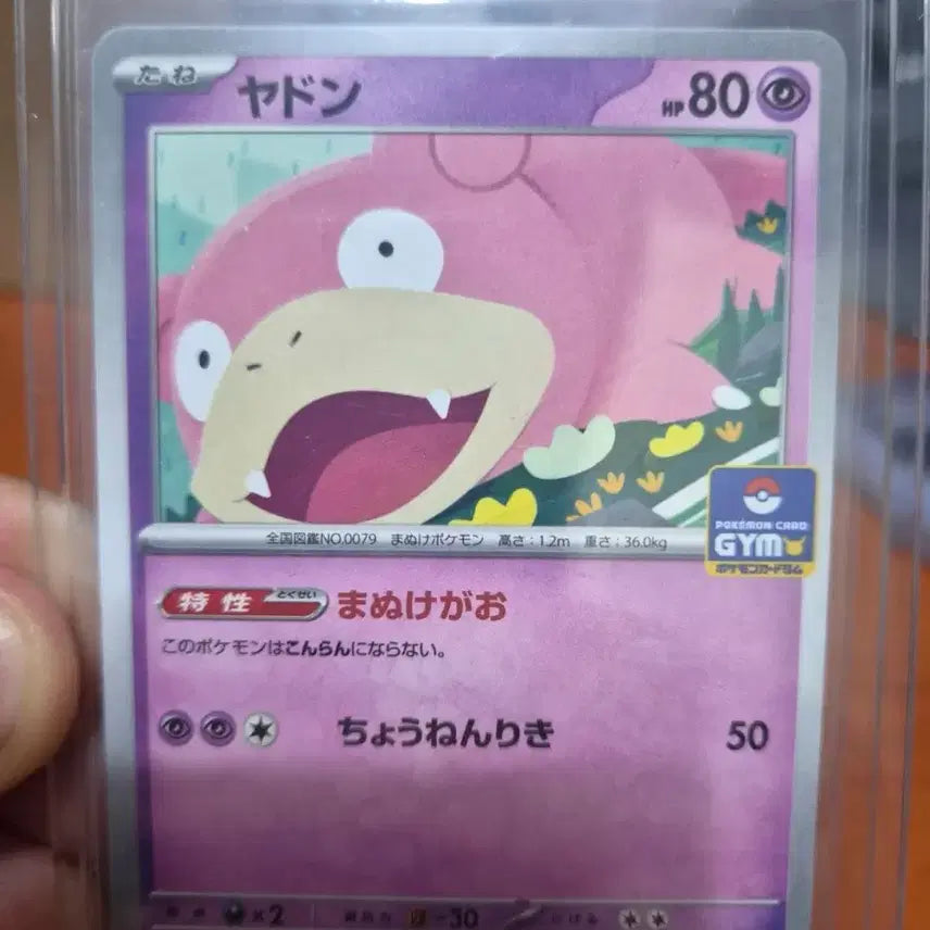 [BUNJANG] Slowpoke Gym Promo Card S-Grade / 야돈 짐프로모 s급