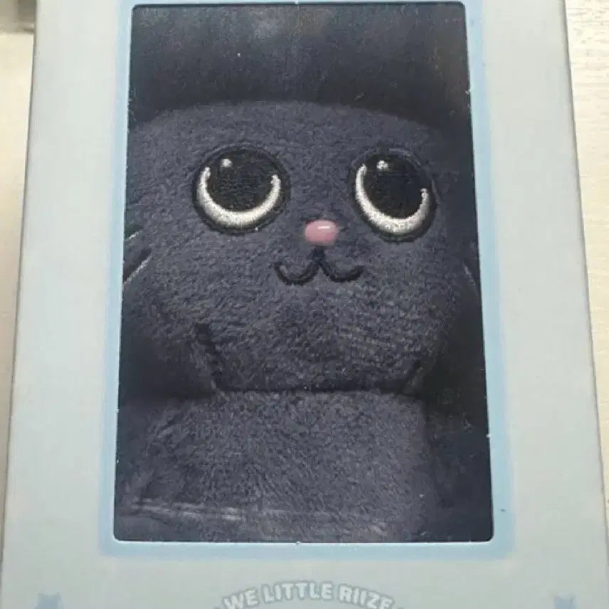 [BUNJANG] RIIZE RIIZING Wonbin TONYNGDUK Magnetic Doll / 라이즈 리라즈 원빈 토냥덕 마그네틱 자석 인형