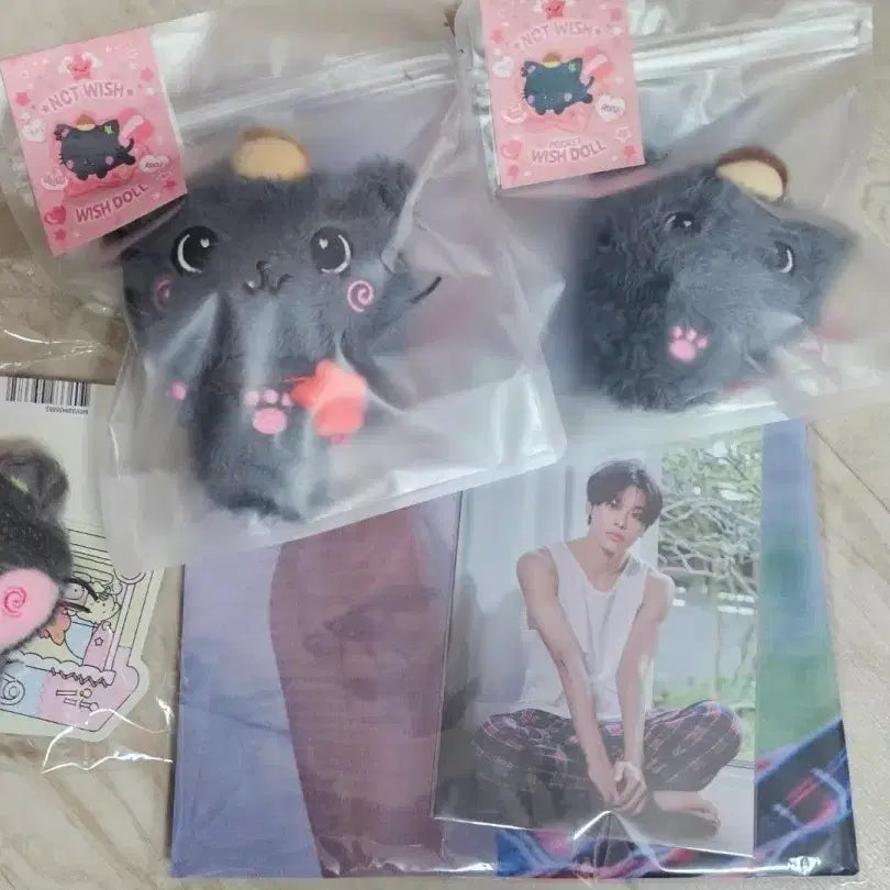 [BUNJANG] NCT WISH Riiku Kuri Wish Doll Color Doll Pocket Doll Poster / 엔시티위시 위시 리쿠 쿠리 위시돌 컬러돌 포켓돌 포스터 양도