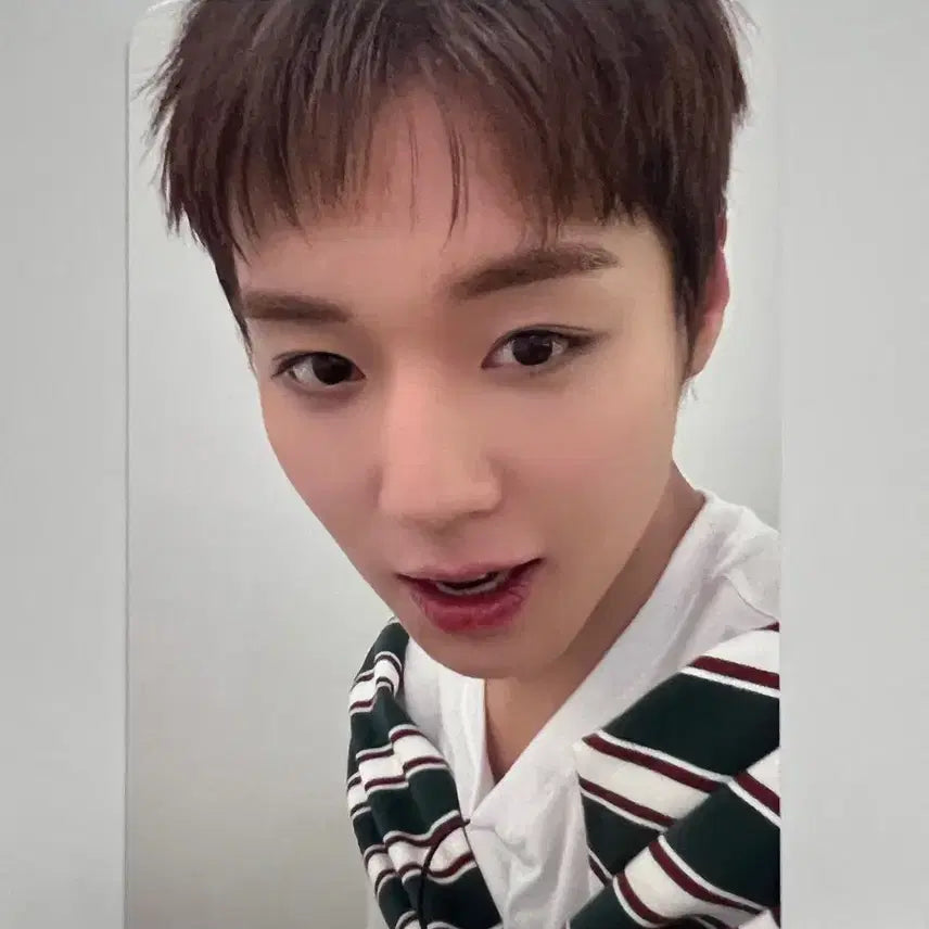 [BUNJANG] Park Ji Hoon Reflect Live Streaming Photocard / 박지훈 팬콘 리플렉트 라이브 스트리밍 포카