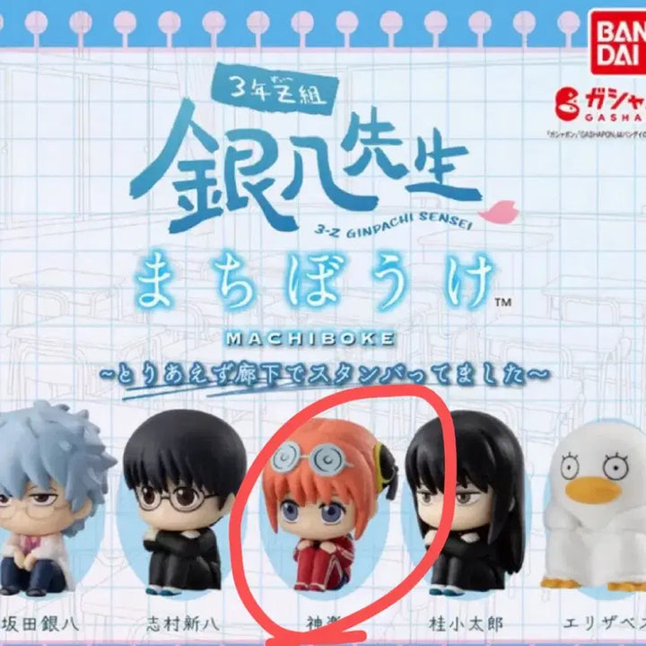 [BUNJANG] Gintama Machiboke Kagura (Sealed) / 미개봉)은혼 마치보케 카구라