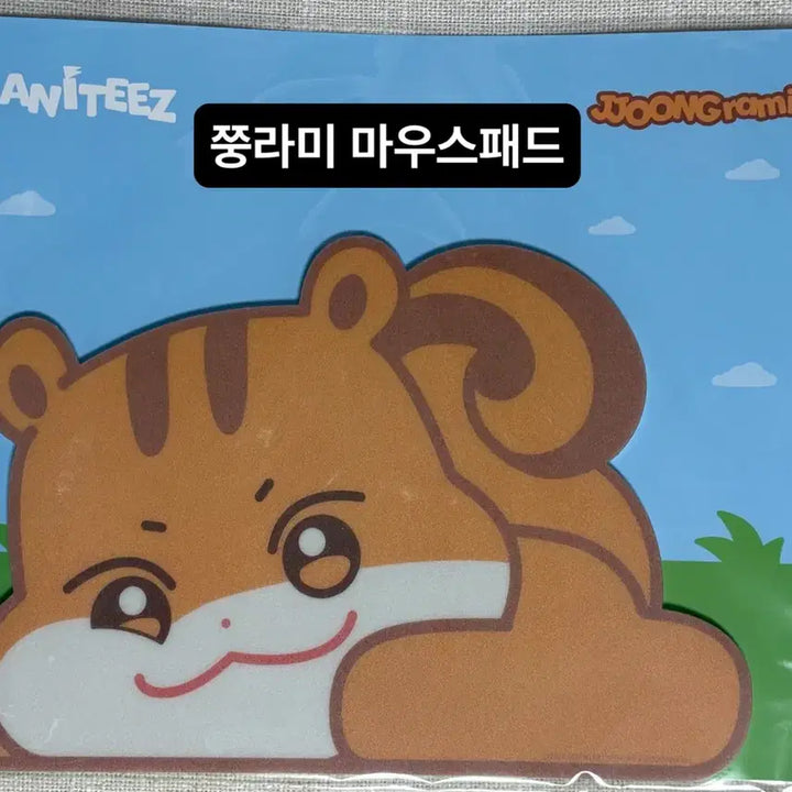 [BUNJANG] ATEEZ ANITEEZ Wooyoung Mousepad / [AtZ] 에이티즈 애니티즈 쭝라미(홍중) 마우스패드