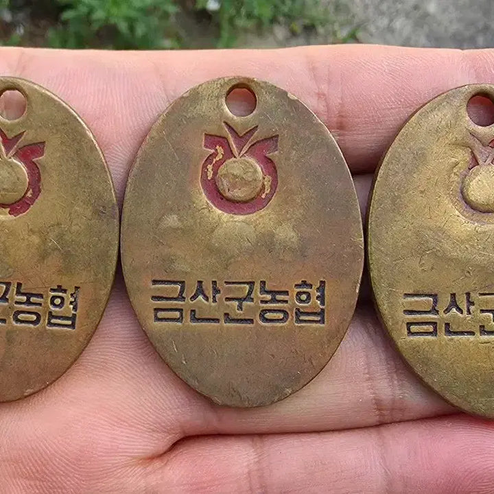 [BUNJANG] Geumsan-gun Nonghyup Number Ticket Set / 오래된 금산군농협 번호대기표 3개일괄