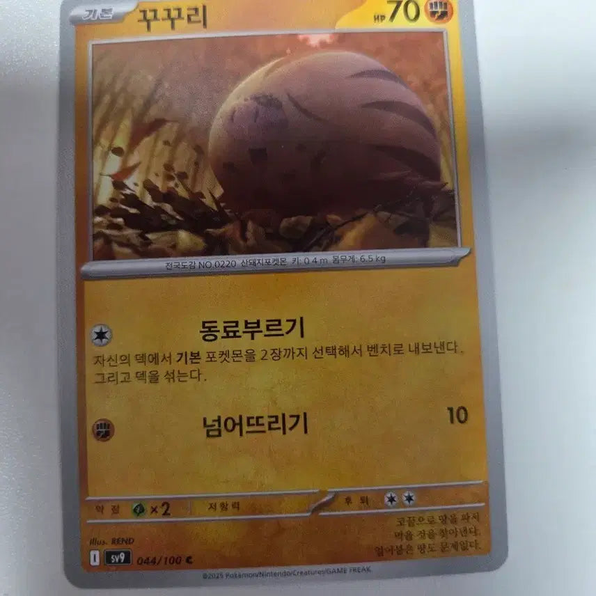 [BUNJANG] Pokemon Card Kukuri C 044/100 / 포켓몬 카드 꾸꾸리