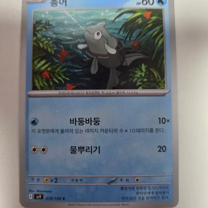 [BUNJANG] Pokemon Card Torkoal SV9 019/100 / 포켓몬 카드 총어 SV9 019/100