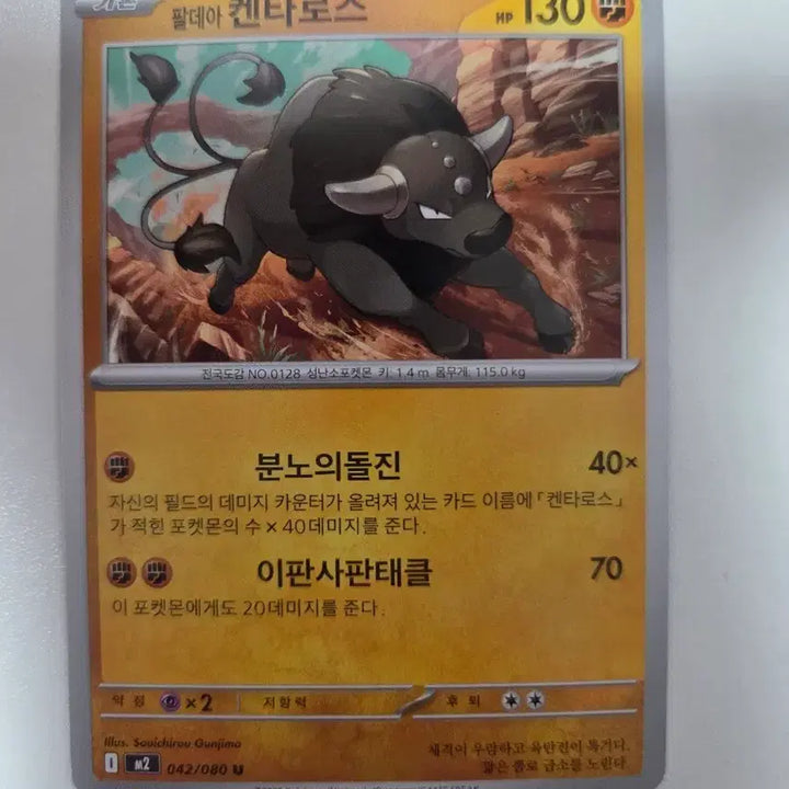 [BUNJANG] Pokemon Card Paldea Region Kentauros 042/080 U / 포켓몬카드 팔데아 켄타로스 042/080 U