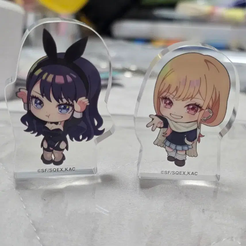 [BUNJANG] Cobble Stone Gacha Set / 그비돌 가챠 세트