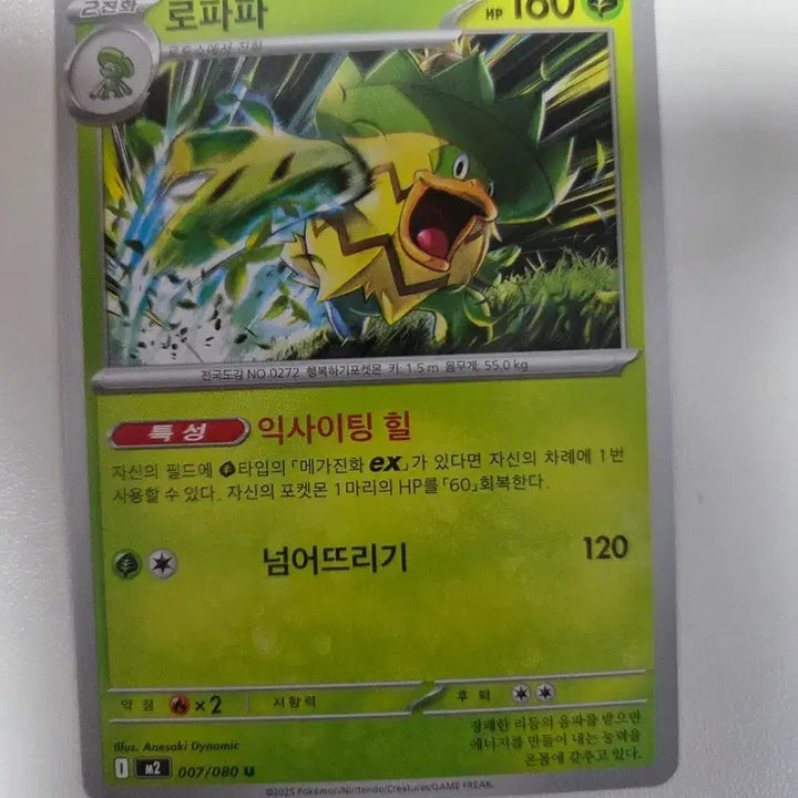 [BUNJANG] Lofafa EX Card / 로파파 EX 카드