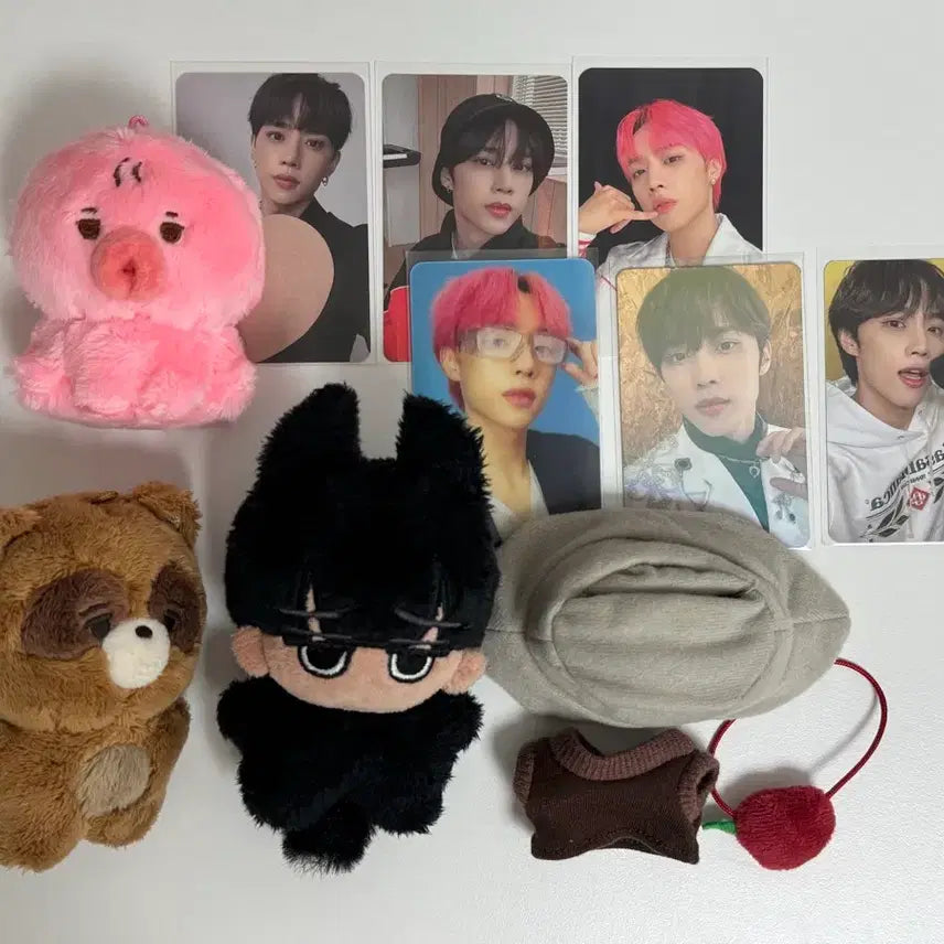 [BUNJANG] The Boyz Sunwoo Doll Bundle Set (Uhjjalssun, Tteonko, Jjokuri) / 더보이즈 선우 인형 양도 떤코 쪼구리 우짤썬