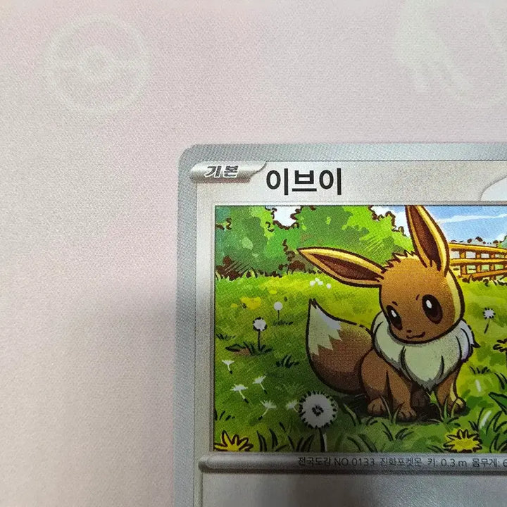 [BUNJANG] Pokemon Card Eevee 564/742 Korean Edition / 포켓몬카드 이브이 564/742 한글판 일반카드