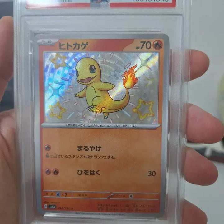[BUNJANG] 2023 Pokemon Card 210/190 Shiny Charmander S PSA 10 / 2023 포켓몬 카드 210/190 파이리 S 이로치가이 psa10