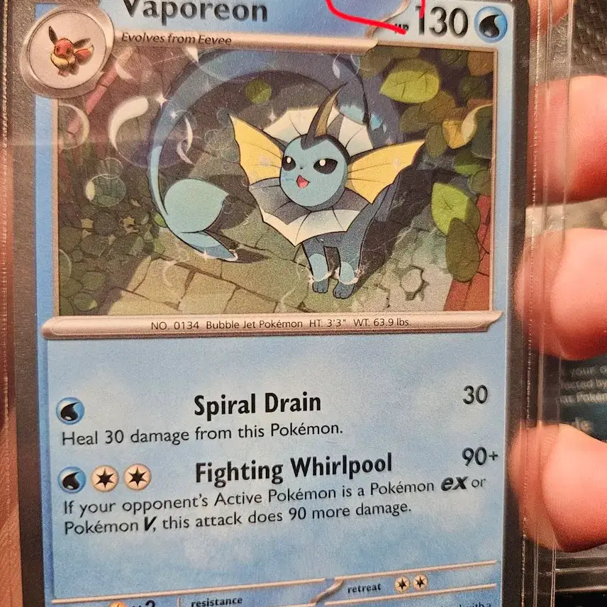 [BUNJANG] Pokemon Cards Bundle Set with North American Promos / 포켓몬카드 북미 프로모 포함 일괄