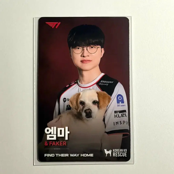 [BUNJANG] T1 Faker KK9R Photocard / T1 티원 KK9R 페이커 포카 양도