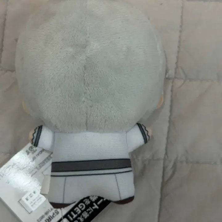 [BUNJANG] Seishiro Nagi Sweets Flavor Vol. 2 Plush / 나기 세이시로 sweets flavor 2026 vol.2 누이