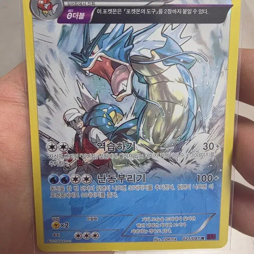 [BUNJANG] Ancient Gyarados Cards Set / 2015년, 2017년고대 갸라도스