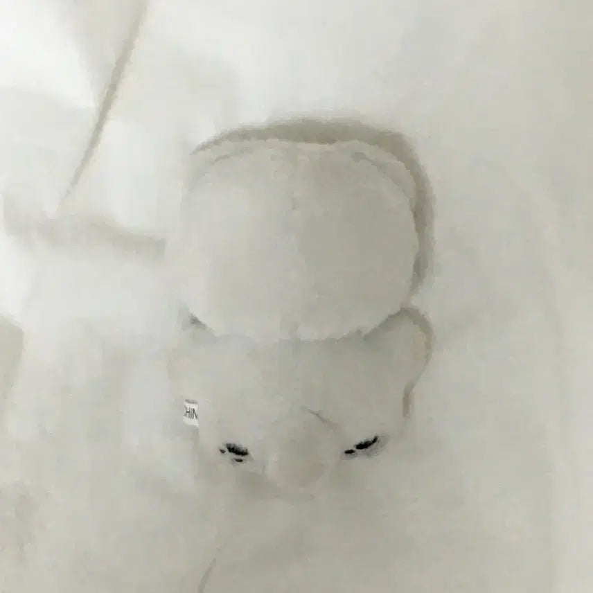 [BUNJANG] Moongjjongie Plush / 뭉쫑이
