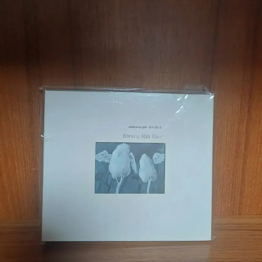 [BUNJANG] Kwang Min Kim Sentimental Spirit CD (Sealed) / (미개봉)김광민 CD
