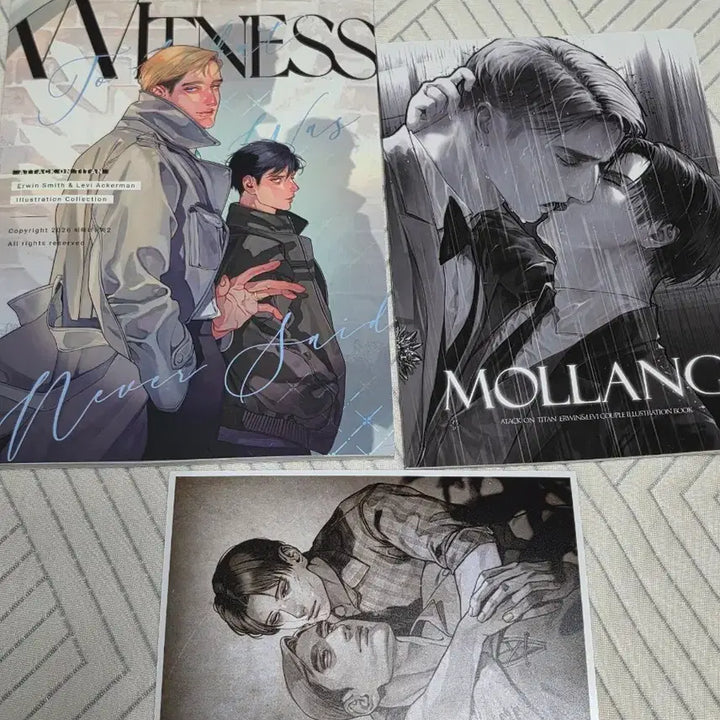 [BUNJANG] Attack on Titan Eruri Fanbook 2-Volume Bundle Set / [새상품]진격의 거인 에루리 회지 일러스트북 2권 일괄 엘빈 리바이