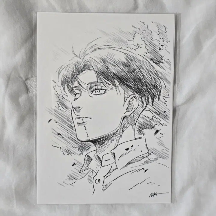 [BUNJANG] Attack on Titan Erwin Smith Levi Ackerman Hange Zoe Theater Exclusive Postcard Set / 진격의거인 진격거 한지 리바이 엘빈 극장판 영화 특전 엽서