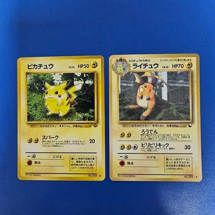 [BUNJANG] Pokemon Card Jungle 1st Edition Pikachu &amp; Raichu Set / [일판]포켓몬카드 초판 올드백 정글 피카츄 라이츄 세트