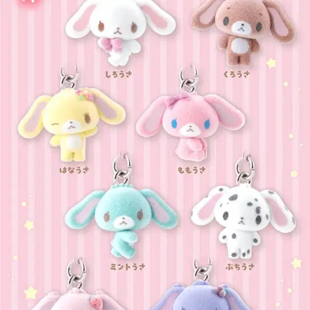 [BUNJANG] Sugabunnies Fuwafuwa Mejirushi Gacha Full Set / 현물) 슈가바니즈 후와후와 메지루시 가챠 풀세트