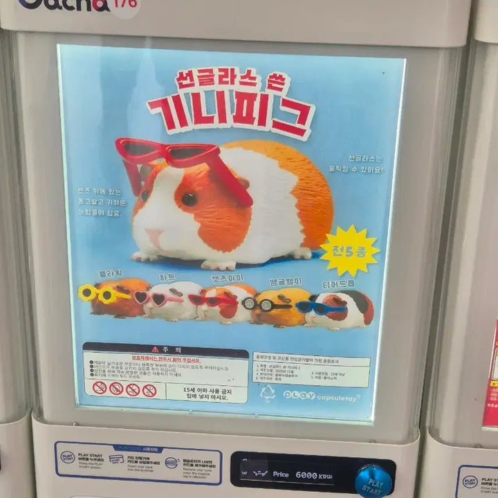 [BUNJANG] Guinea Pig Sunglasses Gachapon Figure - Sealed / 선글라스 쓴 기니피그 가챠 땡글뱅이 미개봉