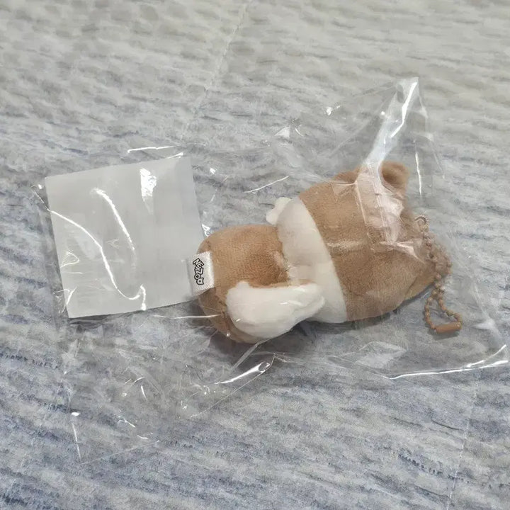 [BUNJANG] NEXZ Geonsky Plush Sitting Ver. / 넥스지 2주년 팝업 넥스주 플러시 시팅 Ver. 소건 건스키