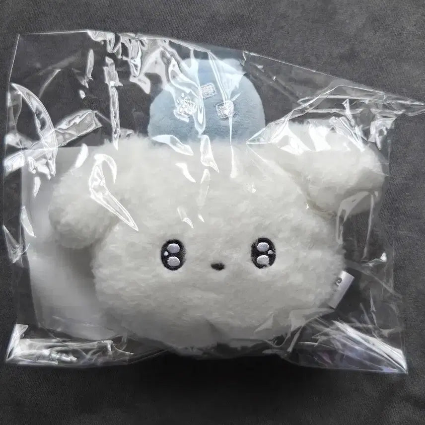 [BUNJANG] Byeon Woo Seok Asia Fan Meeting Limited Edition Cup Carrier / 변우석 아시아팬미팅 한정굿즈(컵캐리어)