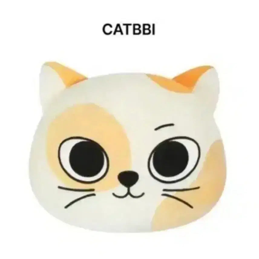 [BUNJANG] Catty Cushion / 캣삐 쿠션 원가 이하 양도합니다