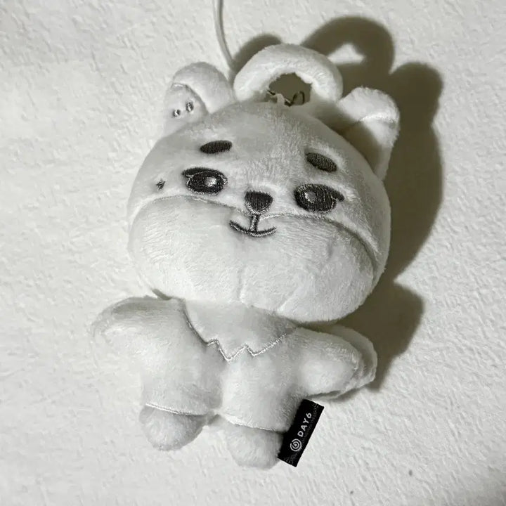 [BUNJANG] DAY6 Young K Youngest Secret Random Keyring / 데이식스 영케이 영기스트 youngest 시크릿키링 랜덤키링