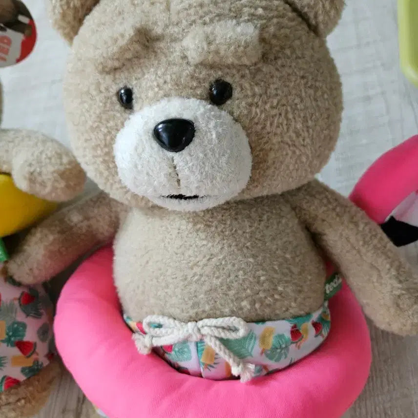 [BUNJANG] 19곰 Ted Plush Toy / 19곰 테드 인형