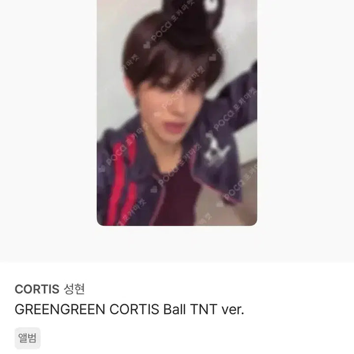 [SOLD OUT] 코르티스볼 스크래치 성현 일괄