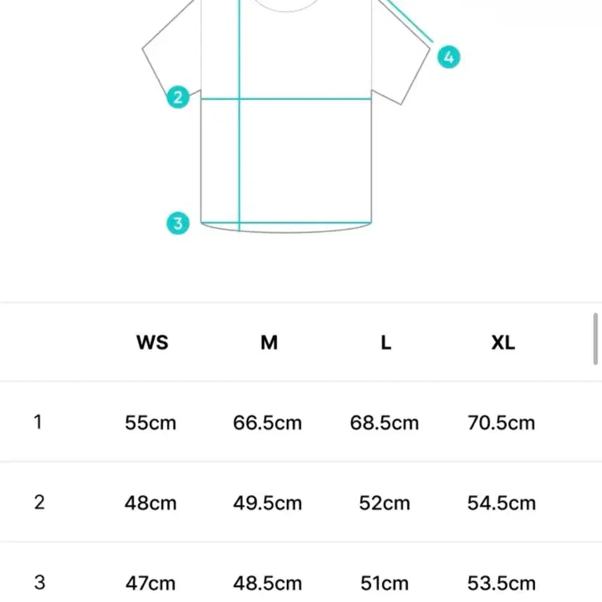 [BUNJANG] CORTIS Gunho Tour T-Shirt WS Size Sealed Popup / (현물) 코르티스 건호 투어 티셔츠 WS 사이즈 미개봉 CORTIS 팝업