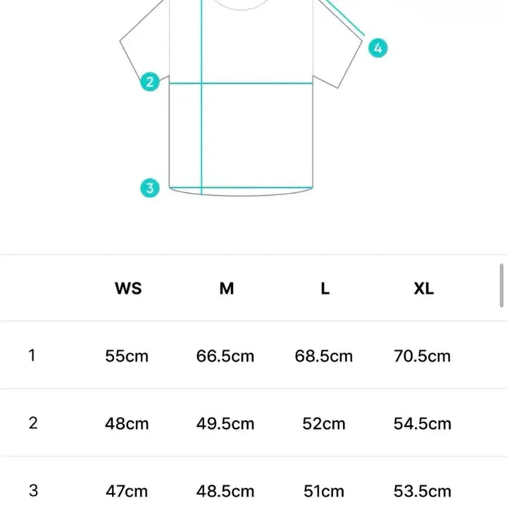 [BUNJANG] CORTIS Gunho Tour T-Shirt WS Size Sealed Popup / (현물) 코르티스 건호 투어 티셔츠 WS 사이즈 미개봉 CORTIS 팝업