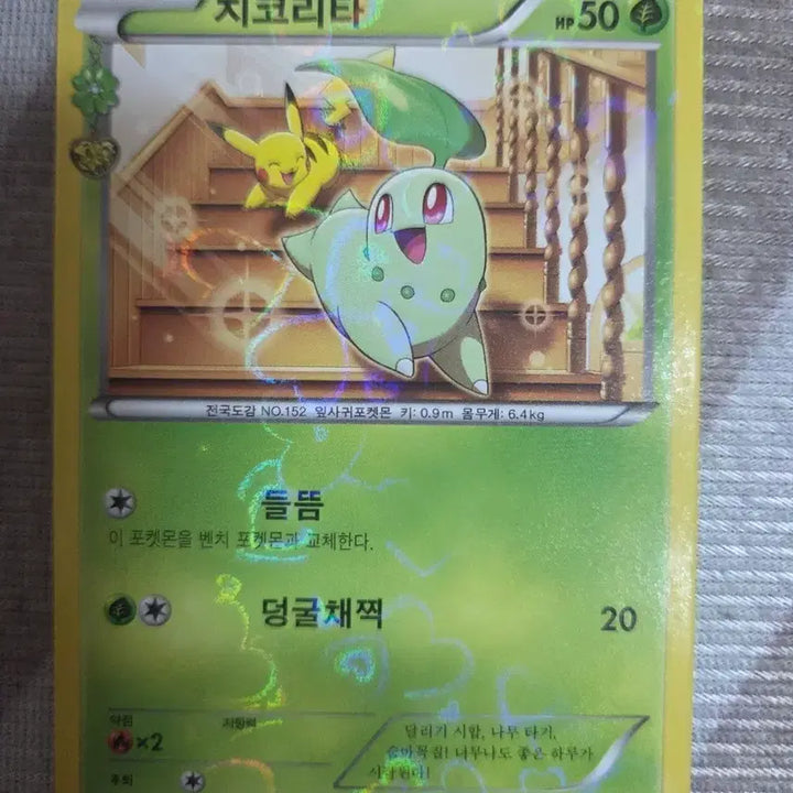[BUNJANG] Chikorita CP3 001/032 Pokémon Card / 포켓몬카드 치코리타 CP3 001/032