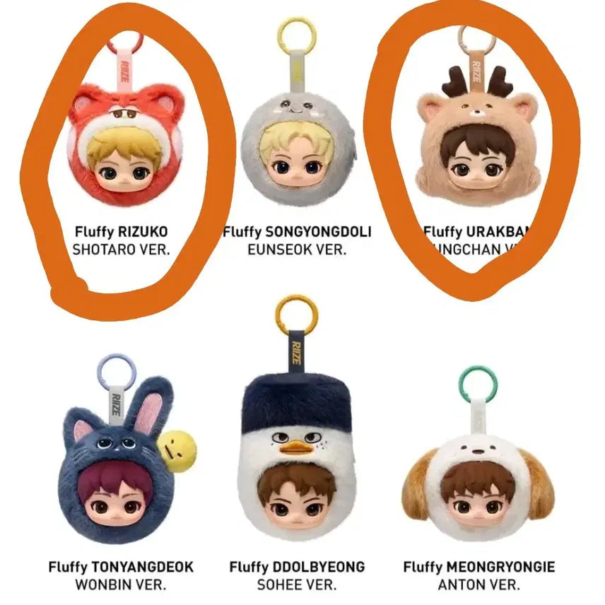[BUNJANG] RIIZE POP MART Fluffy Mini Pouch Face Keyring / 라이즈 팝마트 플러피 미니 파우치 페이스키링 원가양도 리즈코 우락밤