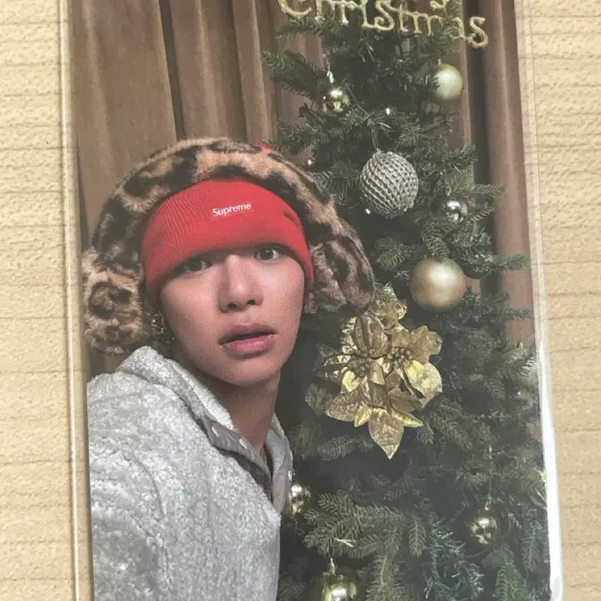 [BUNJANG] All Day Project Tarzan Photocard / 올데이프로젝트 타잔 포토카드