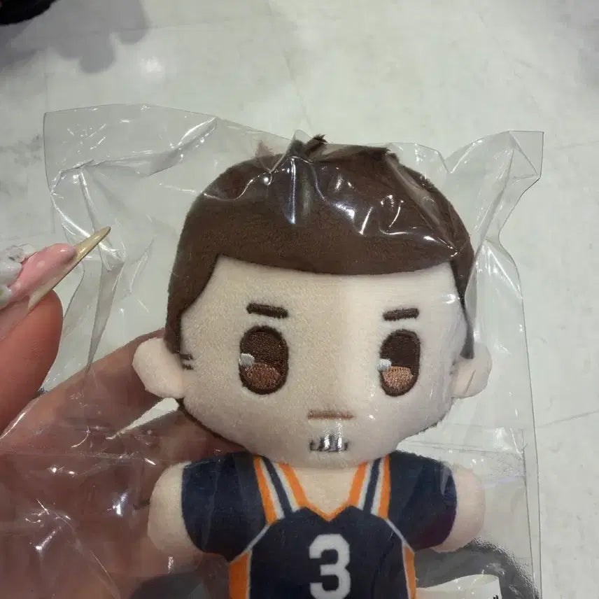 [BUNJANG] Haikyuu!! Asahi Azumane Plush / 하이큐 아사히 누이